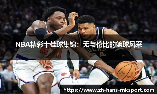 NBA精彩十佳球集锦：无与伦比的篮球风采